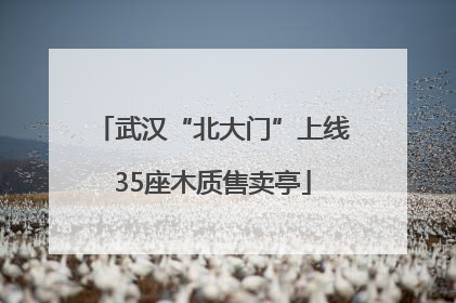 武汉“北大门”上线35座木质售卖亭