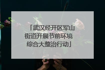 武汉经开区军山街道开展节前环境综合大整治行动