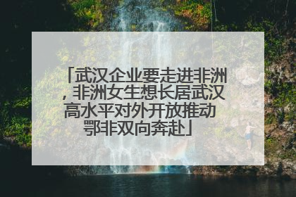 武汉企业要走进非洲，非洲女生想长居武汉 高水平对外开放推动鄂非双向奔赴