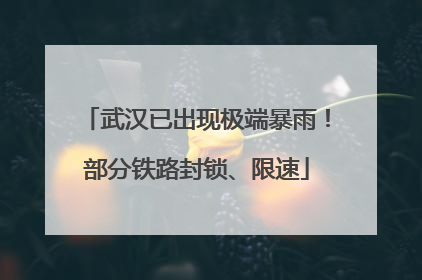 武汉已出现极端暴雨！部分铁路封锁、限速