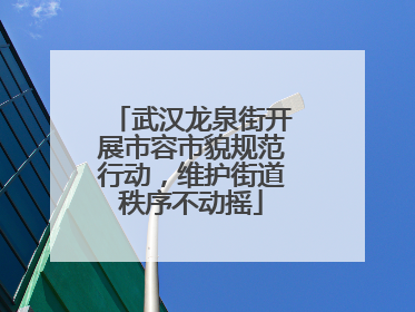 武汉龙泉街开展市容市貌规范行动，维护街道秩序不动摇