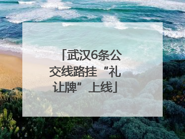 武汉6条公交线路挂“礼让牌”上线
