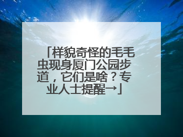 样貌奇怪的毛毛虫现身厦门公园步道，它们是啥？专业人士提醒→