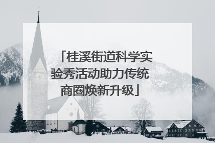 桂溪街道科学实验秀活动助力传统商圈焕新升级