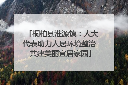 桐柏县淮源镇：人大代表助力人居环境整治 共建美丽宜居家园