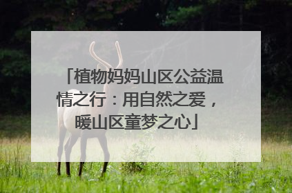 植物妈妈山区公益温情之行：用自然之爱，暖山区童梦之心
