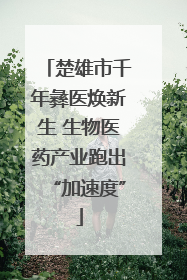 楚雄市千年彝医焕新生 生物医药产业跑出“加速度”