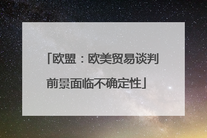 欧盟：欧美贸易谈判前景面临不确定性