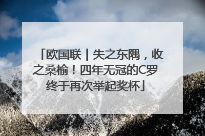 欧国联｜失之东隅，收之桑榆！四年无冠的C罗终于再次举起奖杯