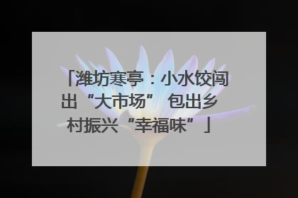 潍坊寒亭：小水饺闯出“大市场” 包出乡村振兴“幸福味”