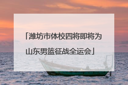 潍坊市体校四将即将为山东男篮征战全运会