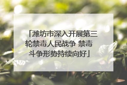 潍坊市深入开展第三轮禁毒人民战争 禁毒斗争形势持续向好