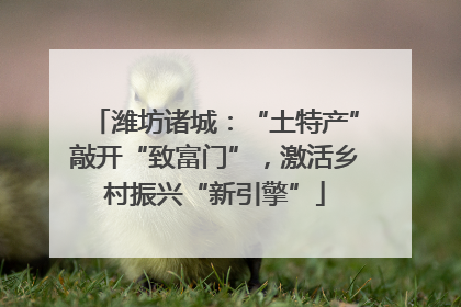 潍坊诸城：“土特产”敲开“致富门”，激活乡村振兴“新引擎”