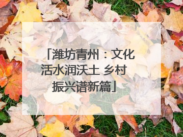 潍坊青州：文化活水润沃土 乡村振兴谱新篇