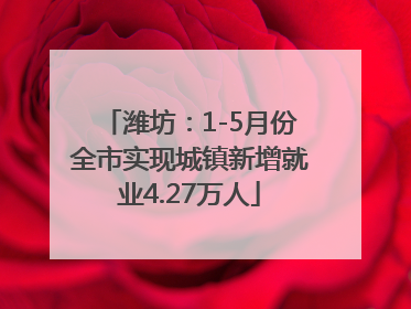 潍坊：1-5月份全市实现城镇新增就业4.27万人