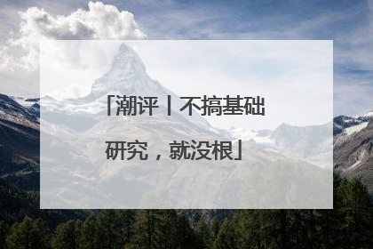 潮评丨不搞基础研究，就没根