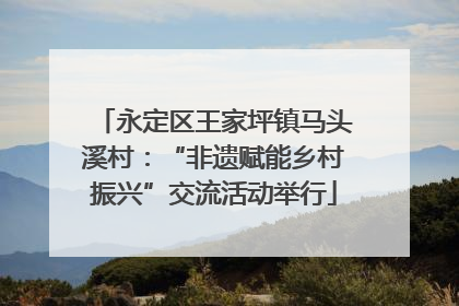 永定区王家坪镇马头溪村：“非遗赋能乡村振兴”交流活动举行