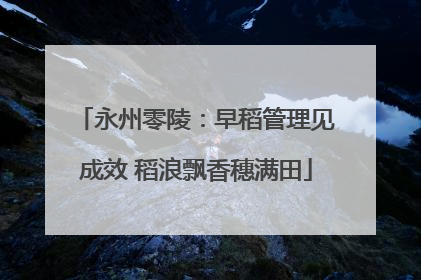 永州零陵：早稻管理见成效 稻浪飘香穗满田