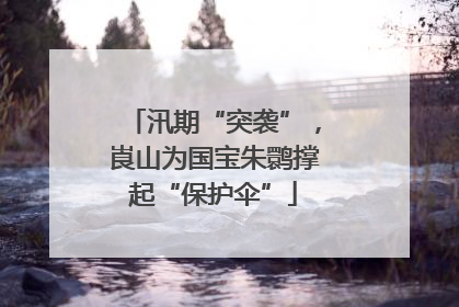 汛期“突袭”，崀山为国宝朱鹮撑起“保护伞”