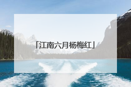 江南六月杨梅红
