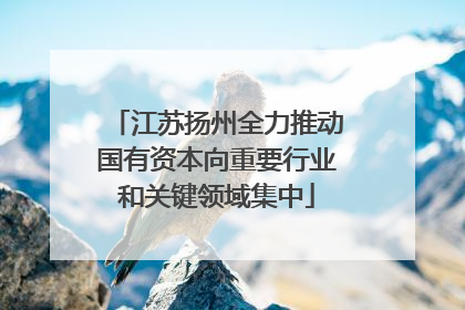 江苏扬州全力推动国有资本向重要行业和关键领域集中