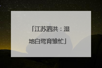 江苏泗洪：湿地白鹭育雏忙
