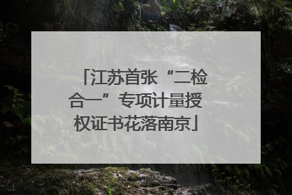 江苏首张“二检合一”专项计量授权证书花落南京