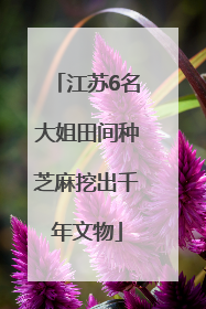 江苏6名大姐田间种芝麻挖出千年文物