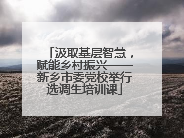 汲取基层智慧，赋能乡村振兴——新乡市委党校举行选调生培训课