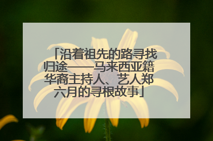 沿着祖先的路寻找归途——马来西亚籍华裔主持人、艺人郑六月的寻根故事