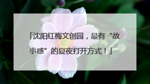 沈阳红梅文创园，最有“故事感”的夏夜打开方式！