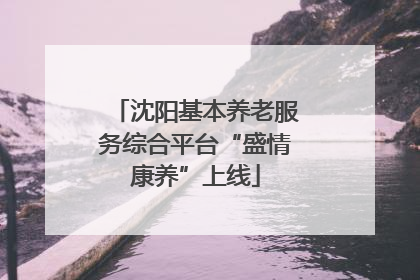 沈阳基本养老服务综合平台“盛情康养”上线