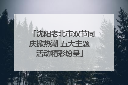 沈阳老北市双节同庆掀热潮 五大主题活动精彩纷呈