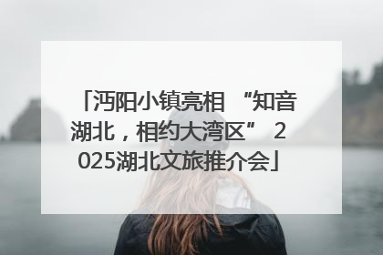 沔阳小镇亮相 “知音湖北，相约大湾区” 2025湖北文旅推介会