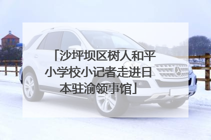 沙坪坝区树人和平小学校小记者走进日本驻渝领事馆
