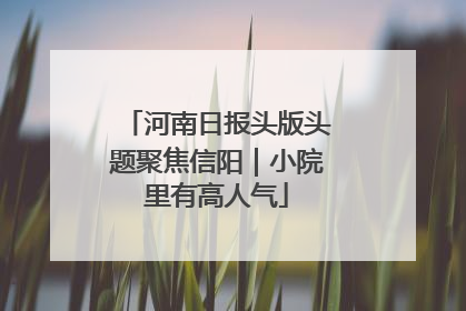 河南日报头版头题聚焦信阳｜小院里有高人气