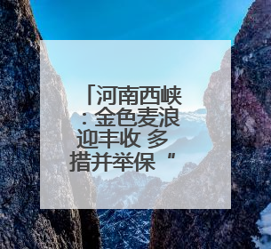 河南西峡：金色麦浪迎丰收 多措并举保“三夏”