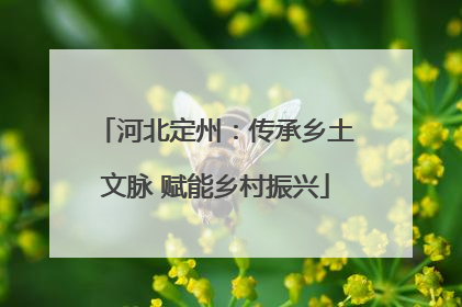 河北定州：传承乡土文脉 赋能乡村振兴
