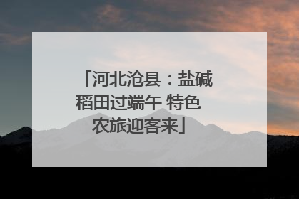 河北沧县：盐碱稻田过端午 特色农旅迎客来