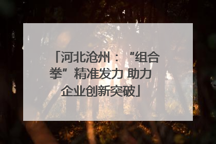 河北沧州：“组合拳”精准发力 助力企业创新突破