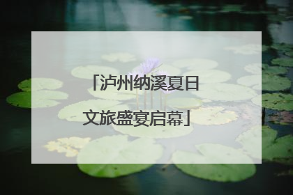 泸州纳溪夏日文旅盛宴启幕