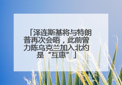 泽连斯基将与特朗普再次会晤，此前曾力陈乌克兰加入北约是“互惠”