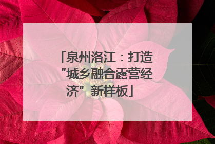 泉州洛江：打造“城乡融合露营经济”新样板