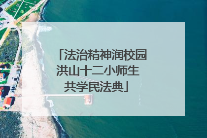 法治精神润校园 洪山十二小师生共学民法典