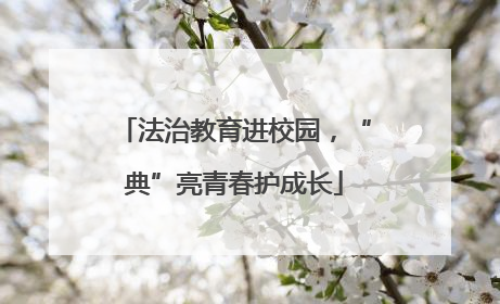 法治教育进校园，“典”亮青春护成长