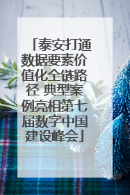 泰安打通数据要素价值化全链路径 典型案例亮相第七届数字中国建设峰会