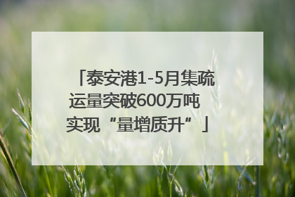 泰安港1-5月集疏运量突破600万吨 实现“量增质升”