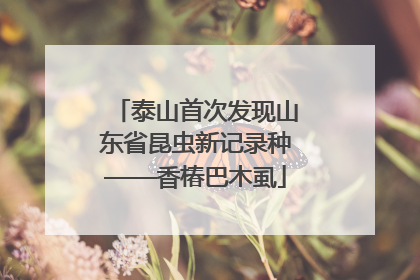 泰山首次发现山东省昆虫新记录种——香椿巴木虱