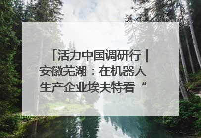 活力中国调研行｜安徽芜湖：在机器人生产企业埃夫特看“中国智造”