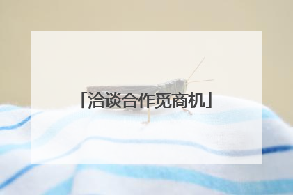洽谈合作觅商机